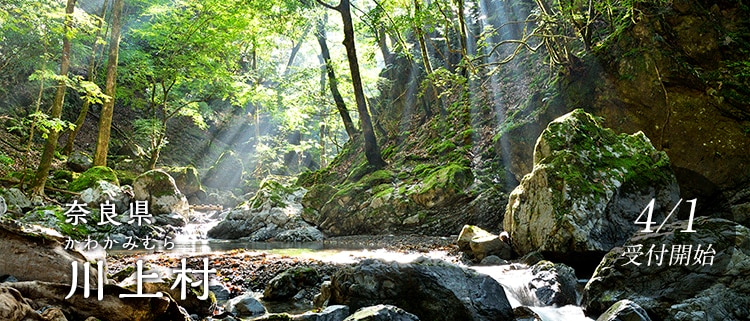 奈良県川上村