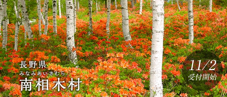 長野県南相木村