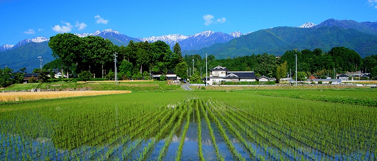 長野県宮田村