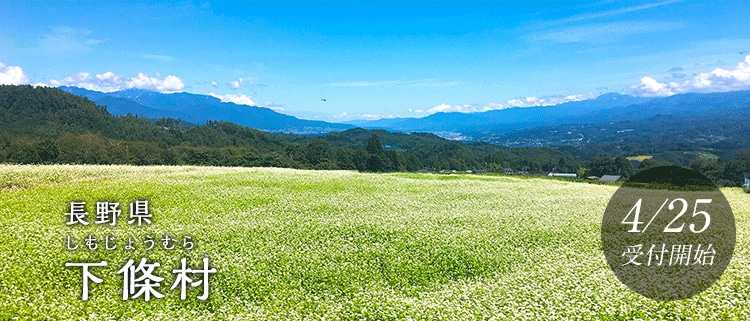 長野県下條村