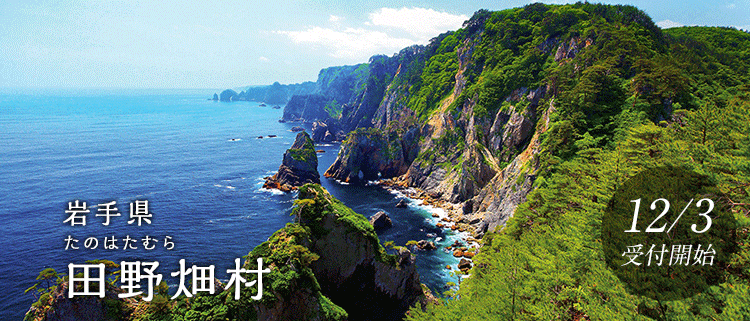 岩手県田野畑村