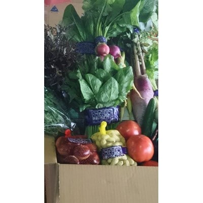 「鎌倉いちばブランド野菜詰め合わせ」