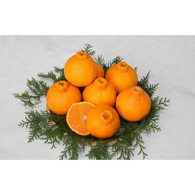「阿久根市特産!デコポン」(5kg)