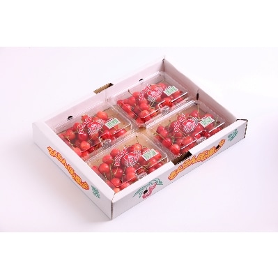 「【先行受付】さくらんぼ名産地東根産直 佐藤錦」(200g×4パック)