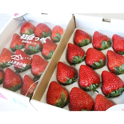 「【先行受付】〈数量限定〉新鮮大粒いちご!伊豆紅ほっぺ厳選」(400g×2パック)