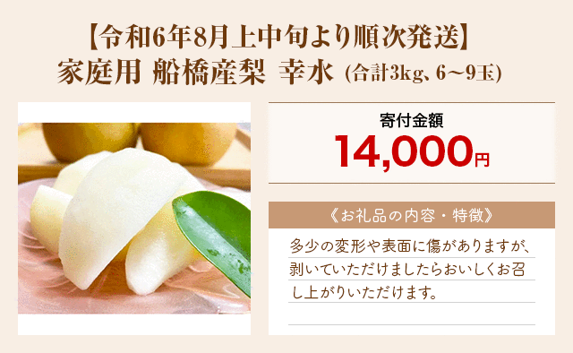 「【令和6年8月上中旬より順次発送】家庭用 船橋産梨 幸水」(合計3kg、6～9玉)