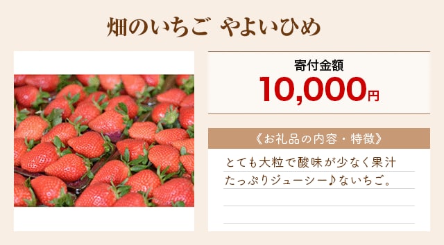 「畑のいちご やよいひめ」