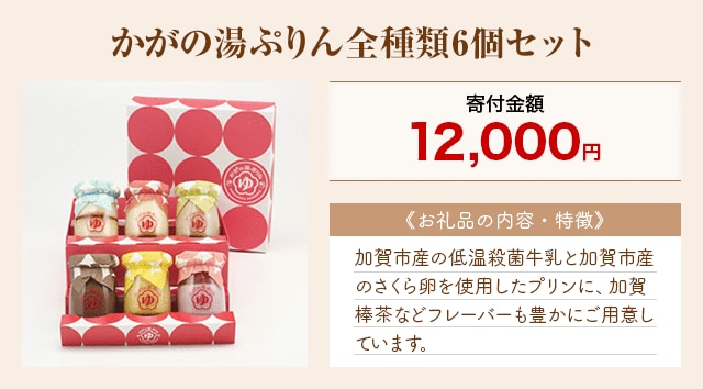 「かがの湯ぷりん全種類6個セット」