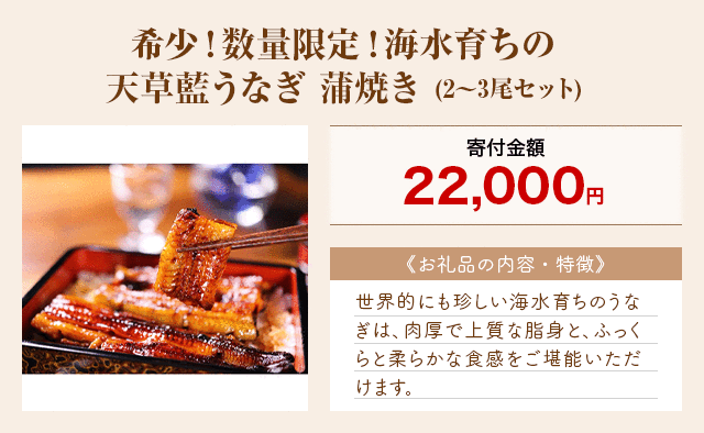 「希少！数量限定！海水育ちの天草藍うなぎ 蒲焼き」(2～3尾セット)