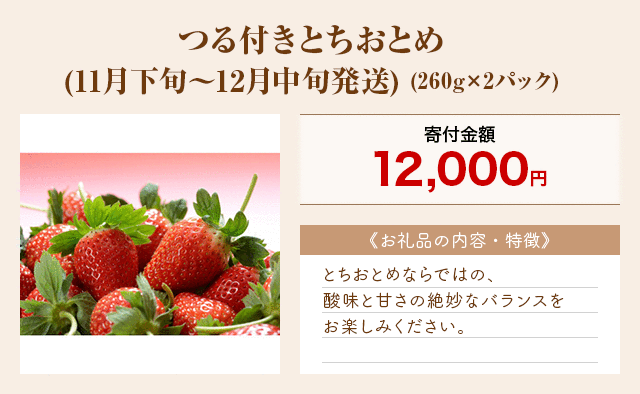 「つる付きとちおとめ(11月下旬～12月中旬発送)」(260g×2パック)
