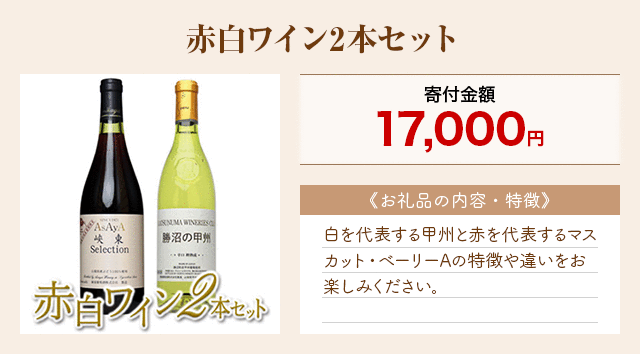 「赤白ワイン2本セット」