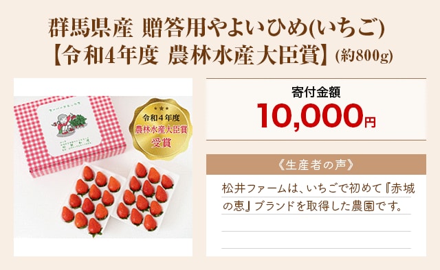 「群馬県産 贈答用やよいひめ(いちご)【令和4年度 農林水産大臣賞】」(約800g)