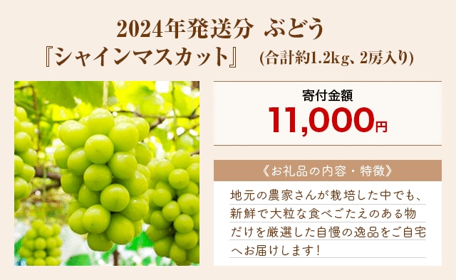 「2024年発送分 ぶどう『シャインマスカット』」(合計約1.2kg、2房入り)