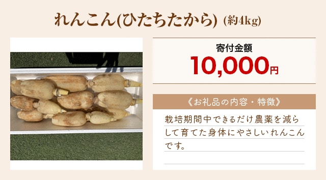 「れんこん(ひたちたから)」(約4kg)
