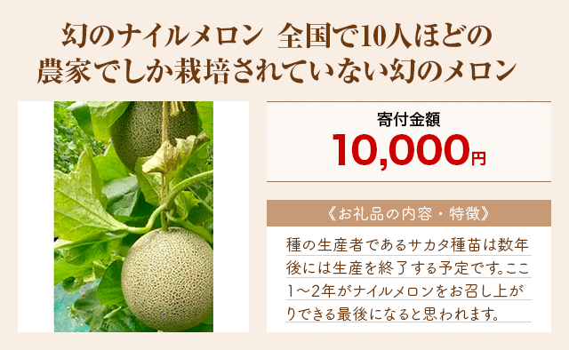 「幻のナイルメロン 全国で10人ほどの農家でしか栽培されていない幻のメロン」