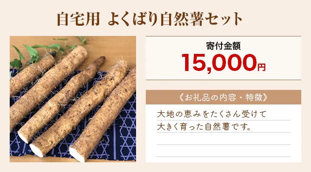 「自宅用 よくばり自然薯セット」