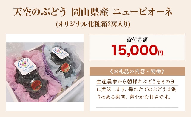 「天空のぶどう 岡山県産 ニューピオーネ」(オリジナル化粧箱2房入り)