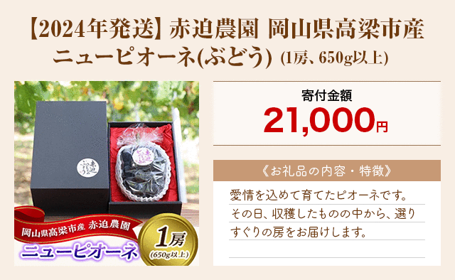 「【2024年発送】赤迫農園 岡山県高梁市産 ニューピオーネ(ぶどう)」(1房、650g以上)