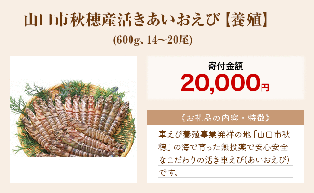 「山口市秋穂産活きあいおえび【養殖】」(600g、14～20尾)
