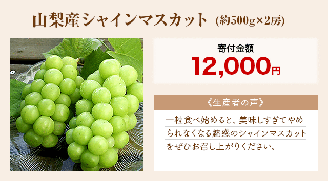「山梨産シャインマスカット」(約500g×2房)