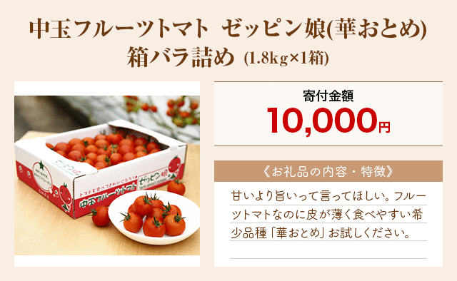 「中玉フルーツトマト ゼッピン娘(華おとめ)箱バラ詰め」(1.8kg×1箱)