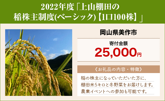 2022年度「上山棚田の稲株主制度(ベーシック)【1口100株】」/岡山県美作市