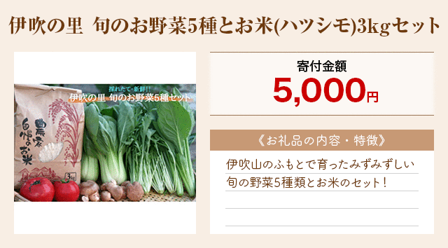 「伊吹の里 旬のお野菜5種とお米(ハツシモ)3kgセット」