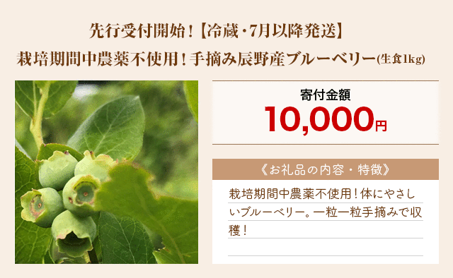 「先行受付開始！【冷蔵・7月以降発送】栽培期間中農薬不使用！手摘み辰野産ブルーベリー」(生食1kg)