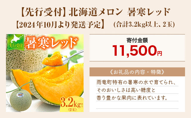 「【先行受付】北海道メロン 暑寒レッド【2024年10月より発送予定】」(合計3.2kg以上、2玉)