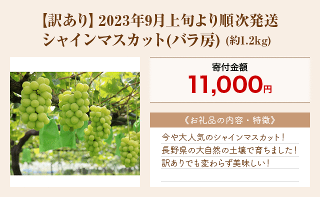 「【訳あり】2023年9月上旬より順次発送 シャインマスカット(バラ房)」(約1.2kg)