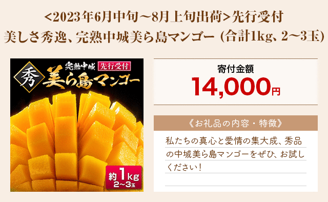 「<2023年6月中旬～8月上旬出荷>先行受付 美しさ秀逸、完熟中城美ら島マンゴー」(合計1kg、2～3玉)