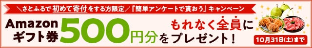 ＼10月の新規会員様＆さとふる会員様で今まで寄付を頂いた事がない方限定／1回の寄付で1万円以上寄付をしたうえで簡単なアンケート(最短1分)にお答えいただいた方全員に《Amazonギフト券500円分》をプレゼント