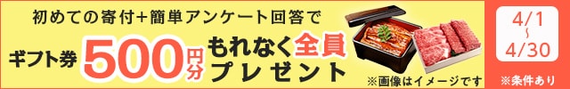 ＼さとふるおよびさとふるアプリで一度も寄付の経験がない方限定／◎1回の寄付で1万円以上寄付をしたうえで簡単なアンケート(最短1分)にお答えいただいた方全員に《Amazonギフト券またはPayPayギフトカード500円分》をプレゼント
