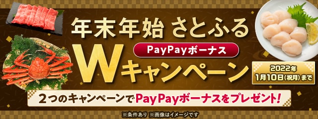 ＼2021年のふるさと納税は12月31日まで！／年末年始Wキャンペーン