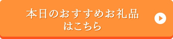 本日のおすすめお礼品はこちら