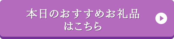 本日のおすすめお礼品はこちら
