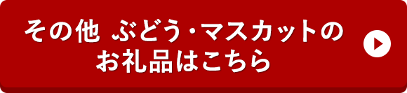 その他 ぶどう・マスカットのお礼品はこちら