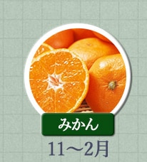 みかん 11月～2月