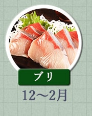 ブリ 12月～2月