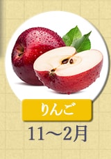 りんご　11〜2月