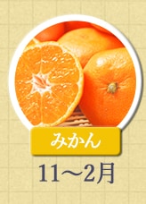 みかん　11月〜2月