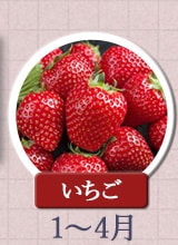 いちご　1～4月