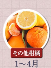 その他柑橘　1月～4月