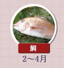 鯛 2月～4月