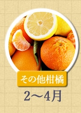 その他柑橘　2月〜4月