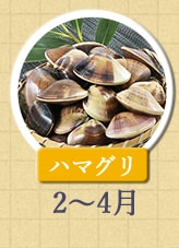 ハマグリ 2月〜4月
