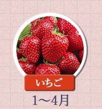 いちご　1月〜4月