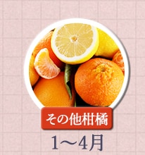 その他柑橘 1月〜4月