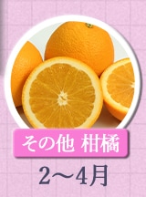その他柑橘　2月～4月