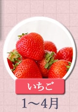 いちご　1月〜4月